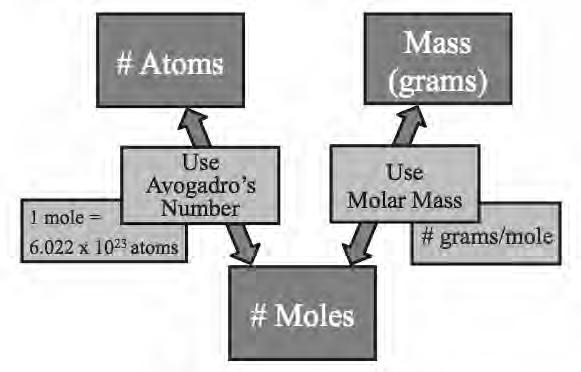 Converting Between the Number of Atoms and Grams Example: (atoms to grams) What is the mass of 2.
