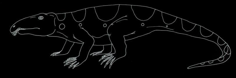 Mesozoic Era Reptiles evolved into archosaurs ruling lizard Common ancestor
