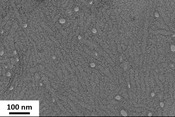 Figure S9. TEM image of PLLA-b-PMAC-b-PAA cylindrical micelles after functionalization with 6- (ferrocenyl)hexanethiol prepared: a.