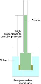 Osmotic pressure: Π Π = ρgh ΠV = nrt Π = crt Π is a colligative property Π: osmotic pressure ρ: density of the solution g: gravitational acceleration h: height of the solution n: number of particles
