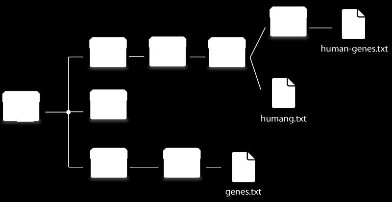 THE ABSOLUTE PATH OF FILES genes.txt: /Volumes/Temp2/genes.txt humang.