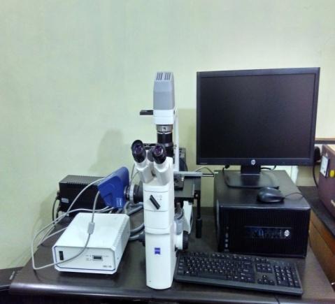 200/- 400/- 500/- Florescence Microscope The fluorescence microscope is used for identifying biological specimens such as bacteria, protozoans,