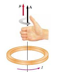 The direction of the magnetic moment Right-hand rule for determining the direction of the vector A.