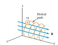 Motion of a Charged Particle in a Uniform Magnetic Field A charged particle having a