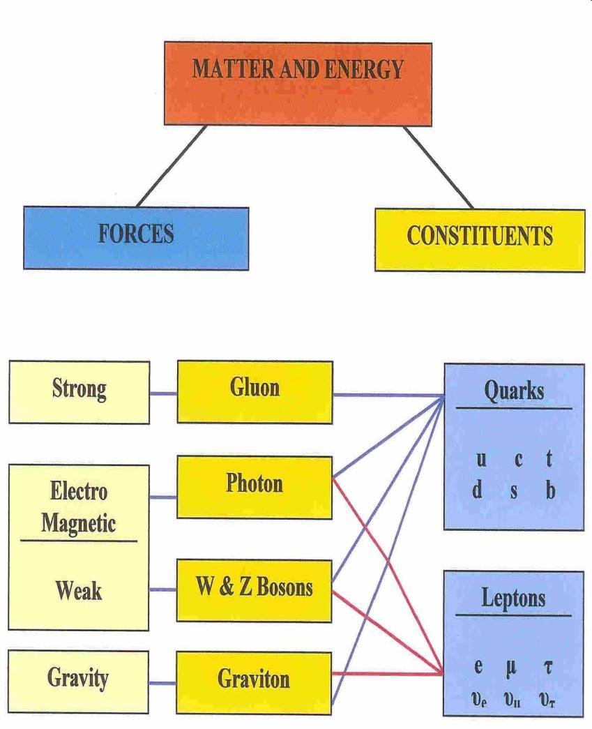 Particle theory and forces (1960 -) Strong force mediated by gluons Electromagnetic force mediated by photons Weak force mediated by W and Z bosons Problems constructing theory