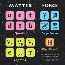 The Standard Model (1970-90s) Strong force = quark force (QCD) EM + weak force = electroweak force Higgs field causes e-w symmetry breaking Gives particle masses Matter