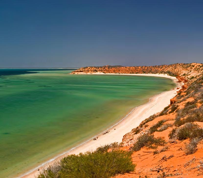 It is one of Australia s 19 World Heritage sites. Where is it? Shark Bay is located in the Australian state of Western Australia.