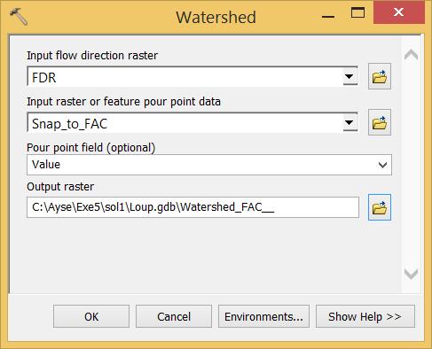 raster (FDR) for Input flow direction and the Snap_to_FAC for feature point data.