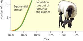 113 No Population Can Grow Indefinitely: J Curves and S Curves (2) Environmental resistance All factors that act to limit the growth of a population Carryingcapacity (K) Maximum population a given