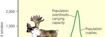 114 Mature Male White Tailed Deer When a Population Exceeds Its Habitat s Carrying Capacity, Its Population Can Crash A