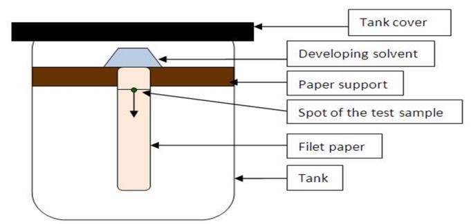 Paper Chromatography Descending -In this method, the solvent is kept in a trough at the top of the chamber and is allowed to flow down the paper.