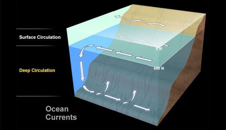 Deep-Ocean Circulation What is the global ocean conveyor belt?