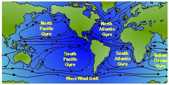 Surface Current Flow The first five are gyres because the water flows around the edge of an ocean basin.