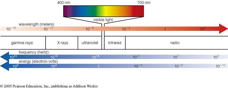 Radiative Energy and Spectrum: Why UV Radiation is an Enemy! Bluer light carries more energy; thus, UV radiation damages skins more badly than the visible light.