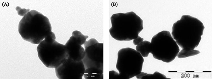diameter of 110 ± 10 nm (Fig. S4B). Fig. S4. TEM images of A) luminol-aunfs, B) luminol-pt@aunfs. The electrochemical characterization of the proposed immunosensor Fig. S5.