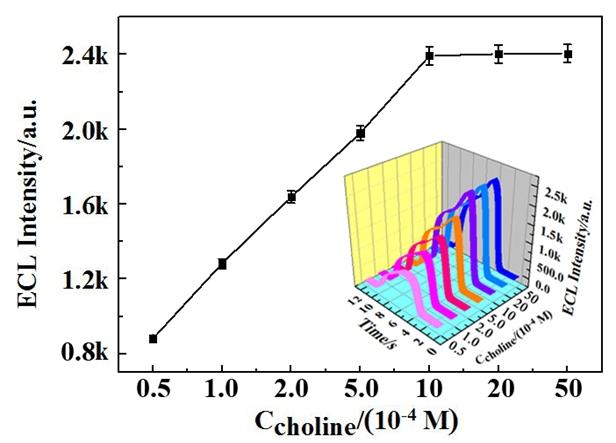 when the concentration of choline reached 2 mm, the ECL intensity increased slowly and then reached a constant value. Thus, 2 mm was chosen as the optimal concentration of choline in this experiment.