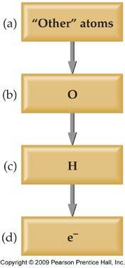 4. Multiply each half-reaction by the appropriate factors so that the number of electrons gained equals electrons lost.