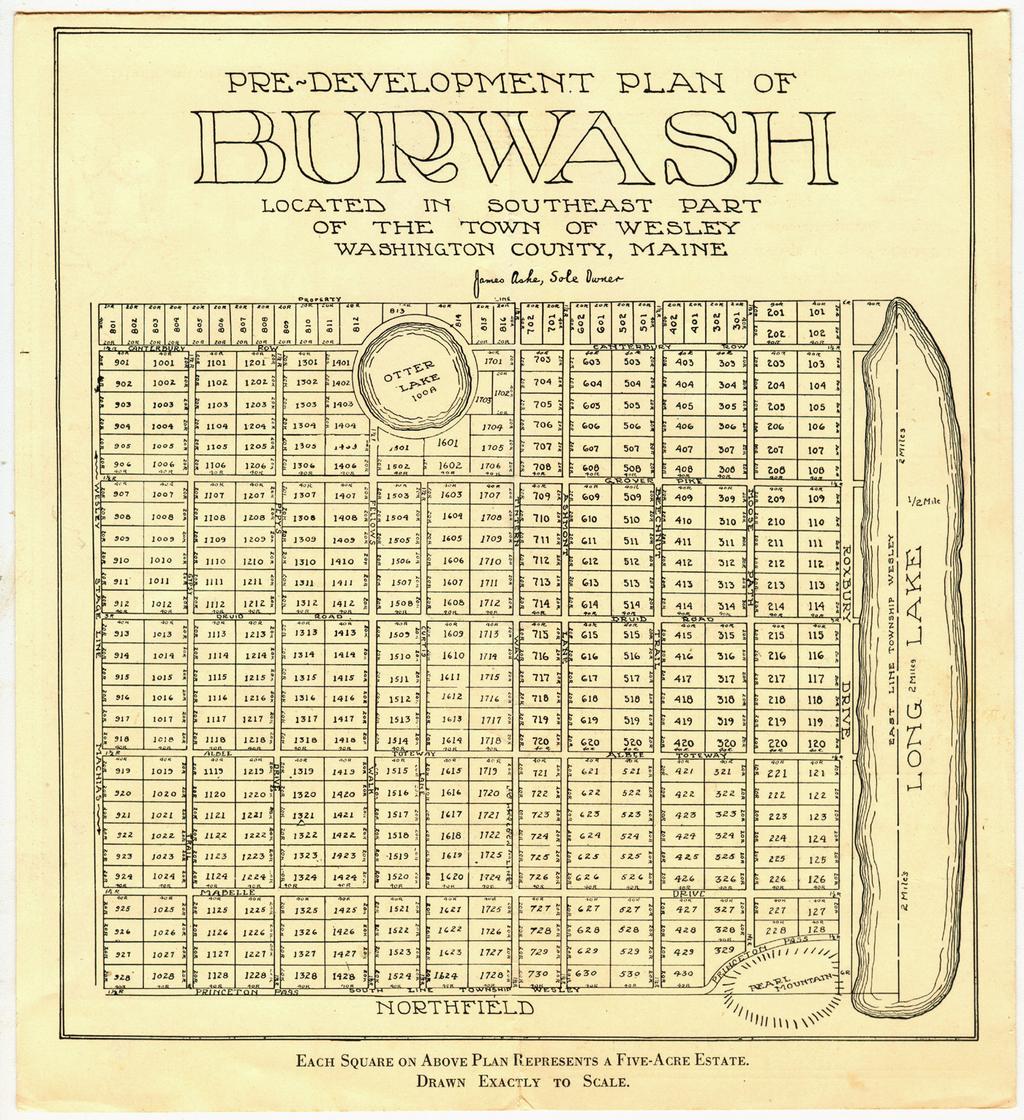 PRE-DEVELOPMENT PLAN OF BURWASH LOCATED IN SOUTHEAST PART OF THE TOWN OF WESLEY WASHINGTON COUNYTY, MAINE James Ashe,