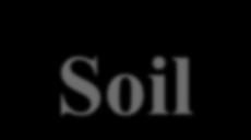 polluted soil (300 ng/kg