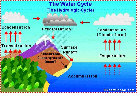 Precipitation Precipitation describes the different forms of water that originate in the atmosphere and fall onto land and water surfaces.