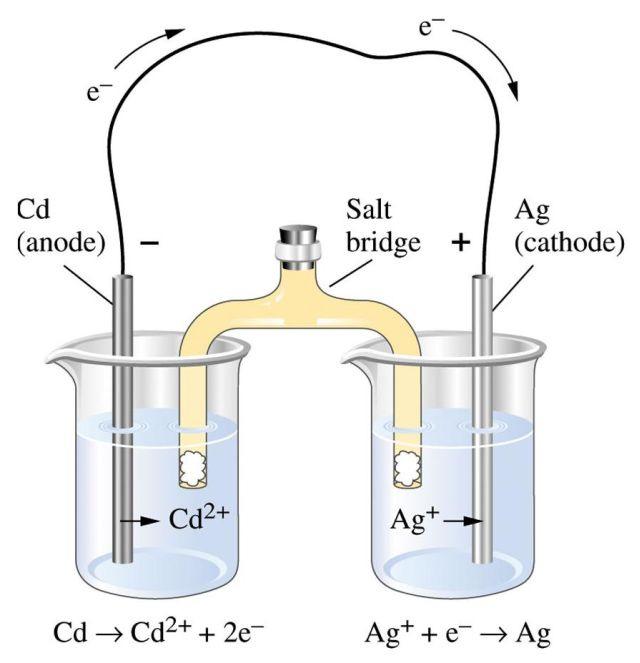 Example 19.3 Draw the voltaic cell that has Cd rod in Cd(NO 3 ) 2 and a Ag rod in AgNO 3, connected by a salt bridge.