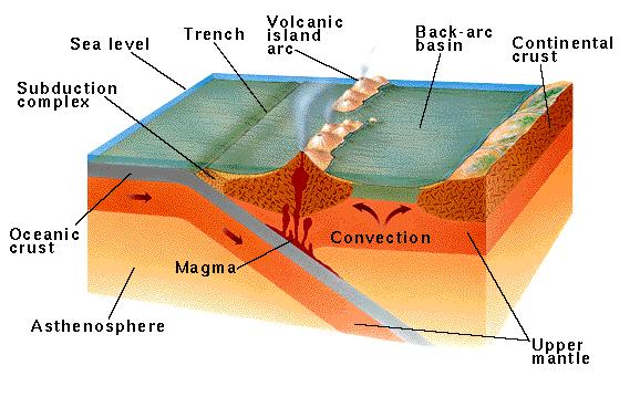 Oceanic-Oceanic Plate Boundary Convergent subduction Oceanic-Oceanic Plate Boundary Volcanic island arcs form nearly