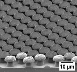 5 µm Medium density: 2 2.