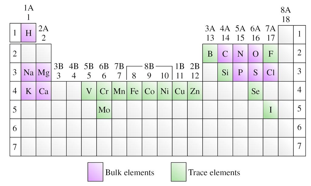 Essential Elements in the Human