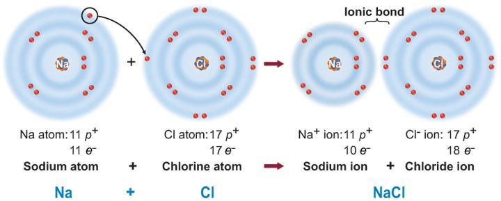 6.1 Atoms, Elements, and Compounds Ionic Bonds Electrical