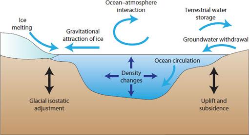 Causes of Sea Level Change Many different processes can cause changes in sea level Some of the observed changes are part of natural climate variability, but most of the observed sea level rise