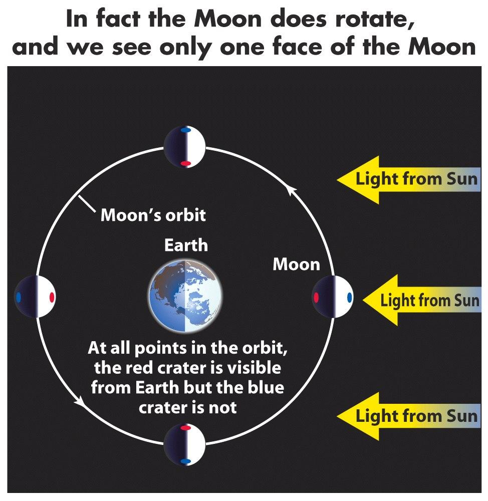 how This long is caused one day by on the the synchronous Moon?