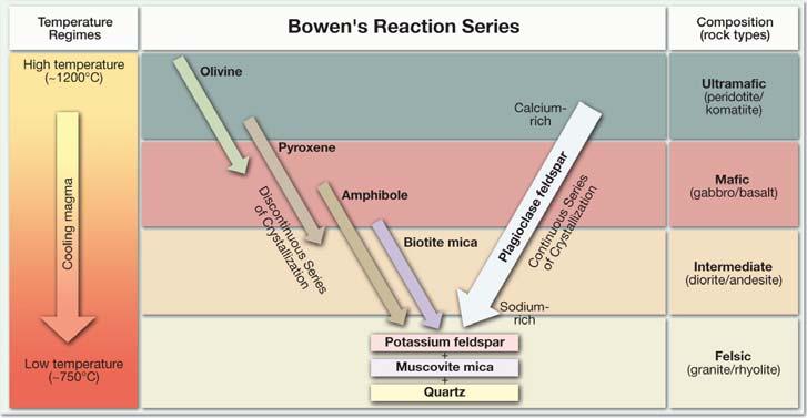 Bowen s s reaction series Series of chemical reactions that take place in silicate magmas as they cool First investigated in the