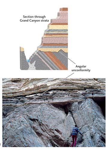 5 An unconformity is a surface between two rock layers representing a layer that never formed or was eroded away.