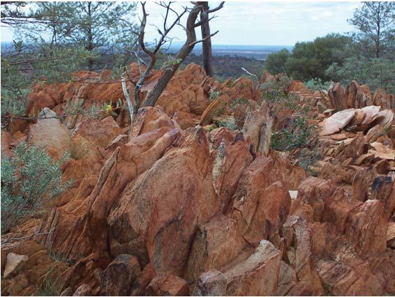 Locations of Some of Earth s Oldest Rocks Outcrop in Jack Hills of western Australia where geologists have dated zircon grains as old as 4.4 Ga.