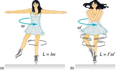 340 CHAPTER 10 ROTATIONAL MOTION AND ANGULAR MOMENTUM Figure 10.23 (a) An ice skater is spinning on the tip of her skate with her arms extended.