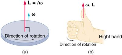 CHAPTER 10 ROTATIONAL MOTION AND ANGULAR MOMENTUM 345 be represented by arrows. The right-hand rule defines both to be perpendicular to the plane of rotation in the direction shown.