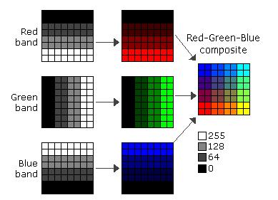 segments (i.e., primary colours, NIR, etc.