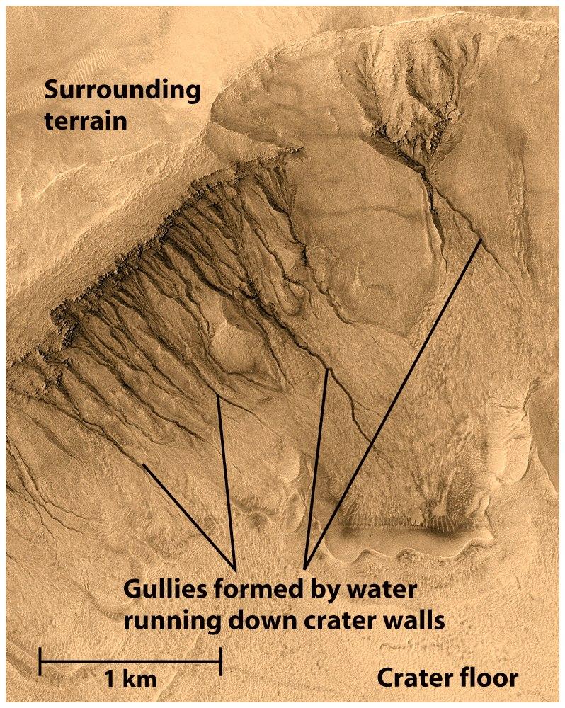Gullies have formed by subsurface water
