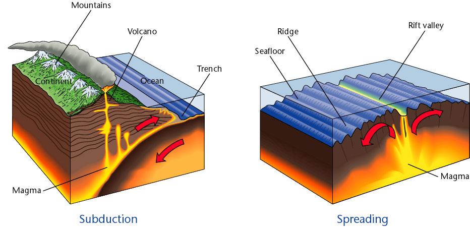 Chapter 1, Section 2 Understanding the Past According to the theory of plate tectonics, the lithosphere is broken up into a number of moving plates, on which continents and oceans