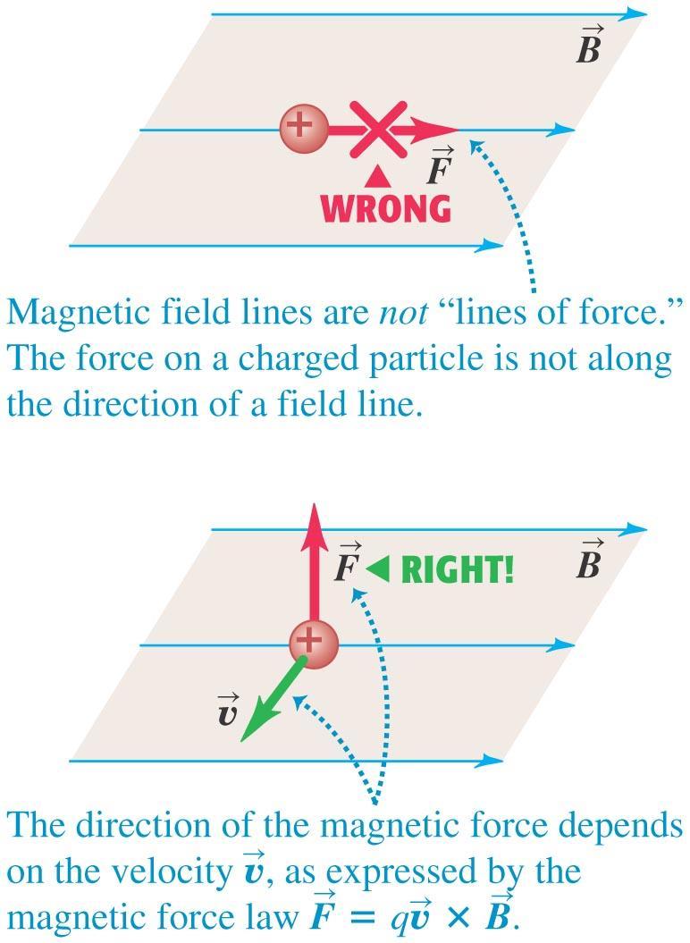Magnetic field lines are not lines of force It is important to
