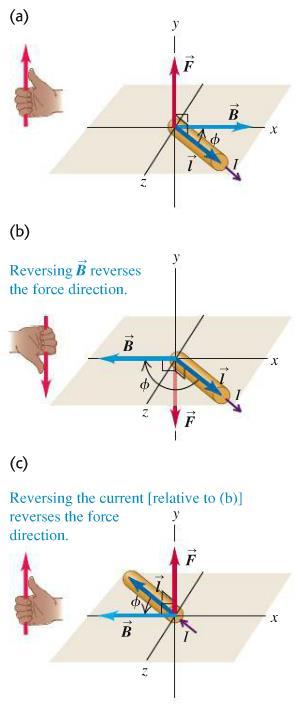 The magnetic force on a current-carrying conductor We represent a segment of wire with a vector l along the wire in direction of the current, then the force on this