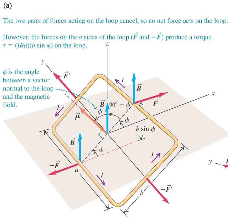 Force and torque on a current loop The forces on the sides with length b have zero torque.
