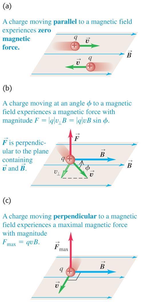 The magnetic force on a moving charge The magnetic force on q is perpendicular to both the velocity of q and the magnetic field.