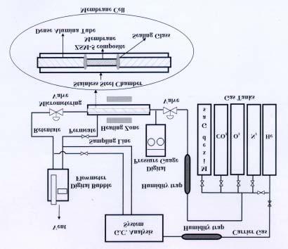 Zeolite Membrane Synthesis and Separation Factor Measurement Systems Rupture disk Valve Pressure gage Thermocouple Temperature controller Vent Metering Valve Condensor Water trap Furnace <Schematic