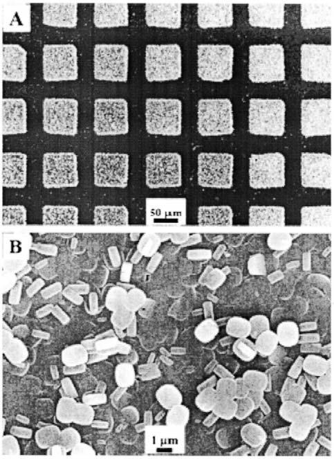 Fig. 13 SEM image of aglass plate patterned with square regions of acontinuous ZSM-5 film corresponding to path III of Fig. 9(A), and enlarged image of one of the zeolite-filled areas (B). (From Ref.