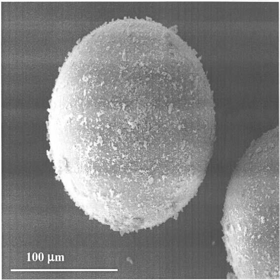 Fig. 14 SEM image of a glass bead after pulsed laser deposition of a UTD-1 coating. (From Ref. 156.