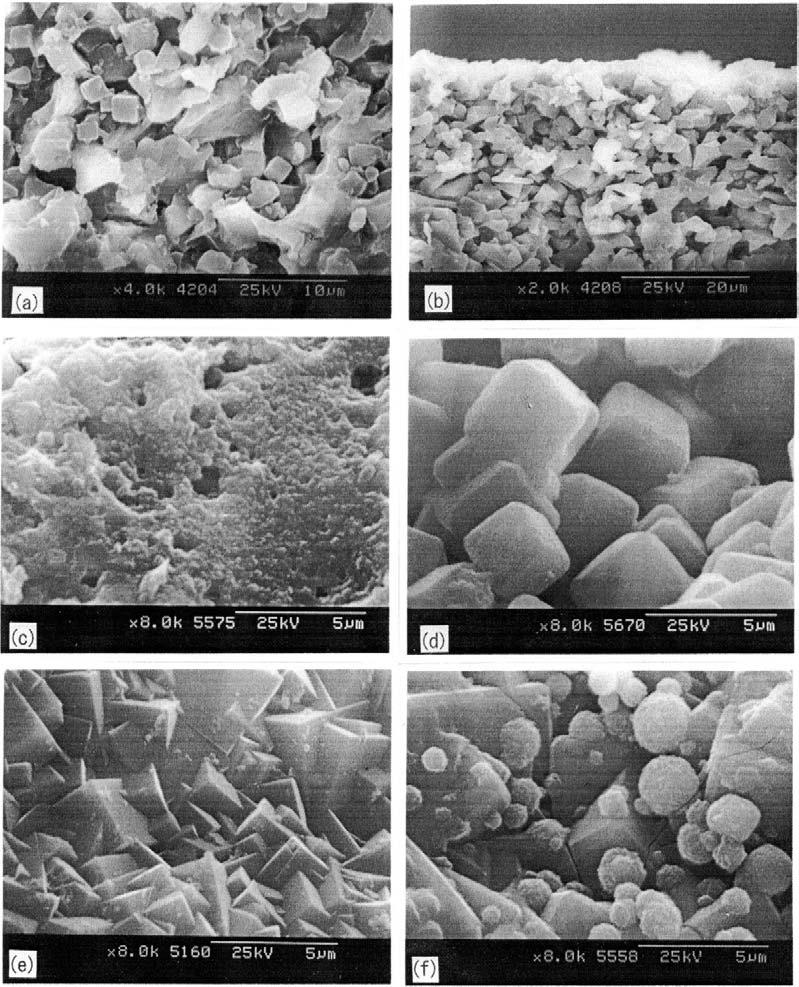 Fig. 2 SEM images of the (a) surface and (b) cross-section of the seeded support tube, and (c f )
