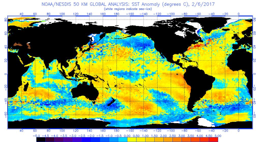 Figure 3 Global sea surface temperatures ( C) for the period ending February 6, 2017 (image from NOAA/NESDIS).