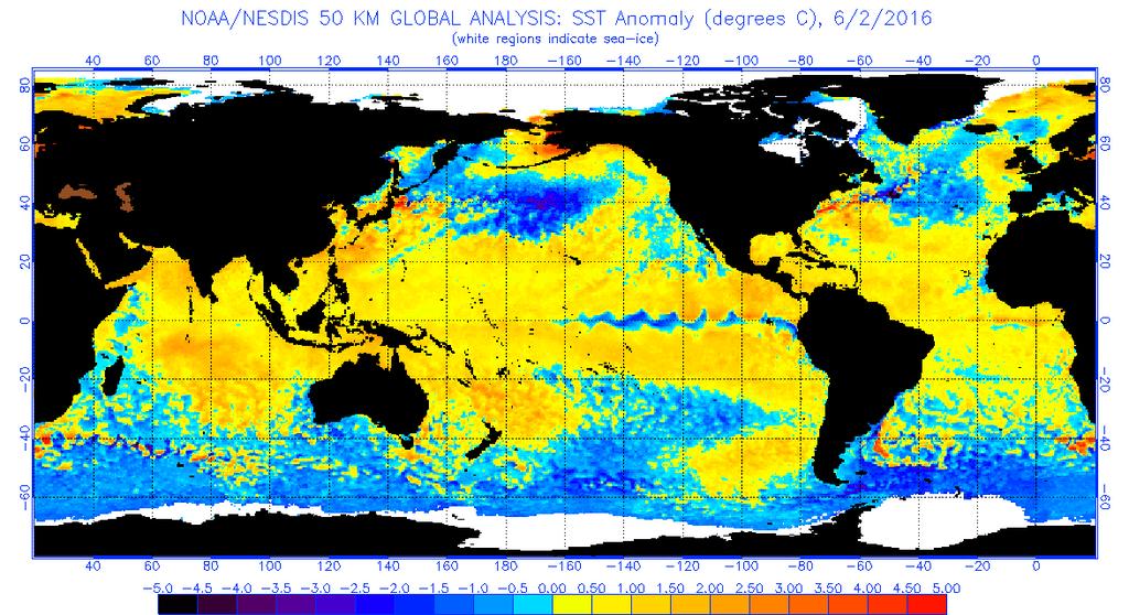 Figure 4 Global sea surface temperatures ( C) for the period ending June 2, 2016 (image from NOAA/NESDIS).