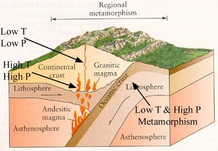 Tectonic Settings and Types of Metamorphism Tectonic Settings of Metamorphism 1) All types of plate boundaries 2) Hot spots 3) Any other region undergoing mountain building and/or magmatic activity